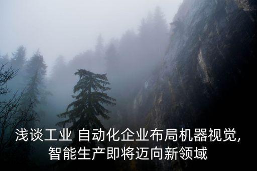 淺談工業(yè) 自動(dòng)化企業(yè)布局機(jī)器視覺,智能生產(chǎn)即將邁向新領(lǐng)域