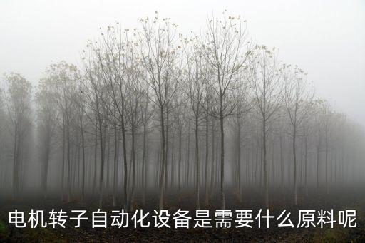 電機轉(zhuǎn)子自動化設(shè)備是需要什么原料呢