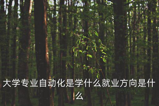 圖解專業(yè)自動化方向就業(yè),自動化專業(yè)就業(yè)方向有什么?