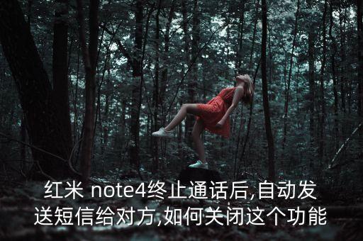 note4通知欄數(shù)據(jù)切換什么意思