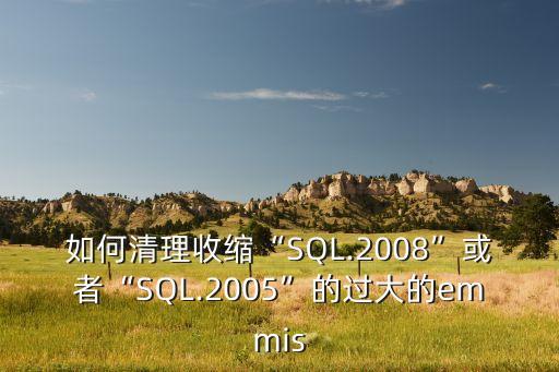 sql2008數(shù)據(jù)庫(kù)日志瘦身