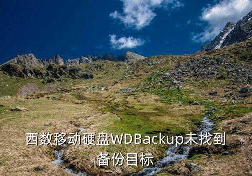 西數(shù)移動(dòng)硬盤WDBackup未找到備份目標(biāo)