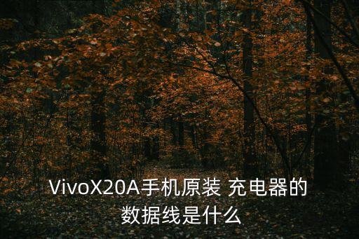 VivoX20A手機原裝 充電器的 數據線是什么