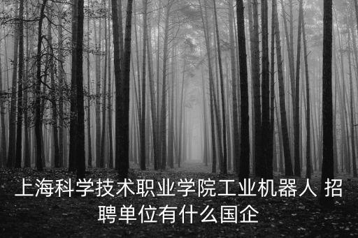 上?？茖W(xué)技術(shù)職業(yè)學(xué)院工業(yè)機(jī)器人 招聘單位有什么國企