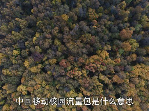 中國移動校園流量包是什么意思