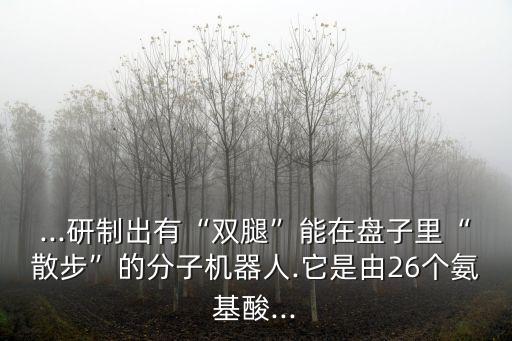 有腿機(jī)器人,人工智能機(jī)器人假腿有什么品種?