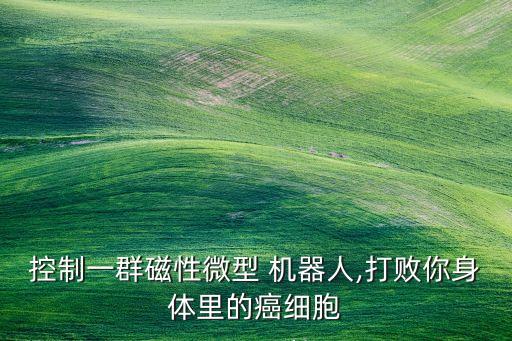 控制一群磁性微型 機器人,打敗你身體里的癌細胞