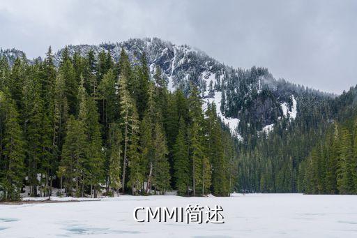 企業(yè)數(shù)據(jù)能力成熟度,數(shù)字化轉(zhuǎn)型:企業(yè)數(shù)據(jù)管理面臨四大問題