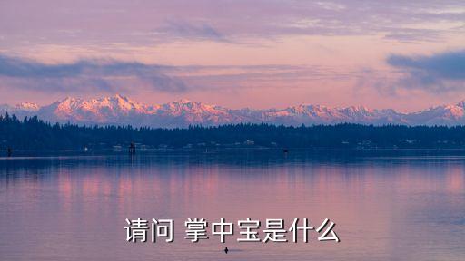 請(qǐng)問(wèn) 掌中寶是什么