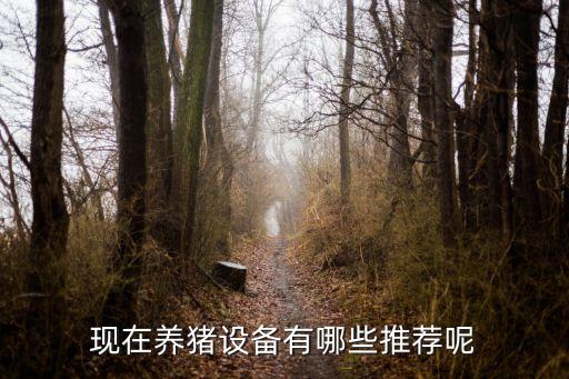 現(xiàn)在養(yǎng)豬設(shè)備有哪些推薦呢