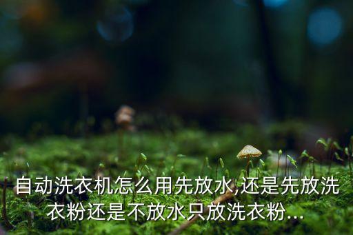 自動(dòng)洗衣機(jī)怎么用先放水,還是先放洗衣粉還是不放水只放洗衣粉...
