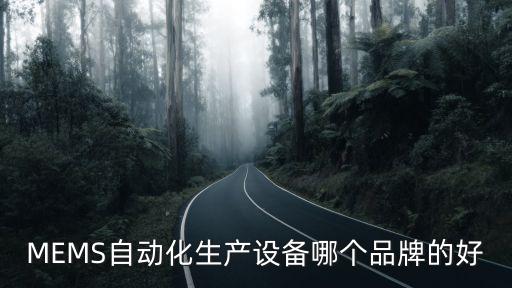 MEMS自動化生產(chǎn)設(shè)備哪個品牌的好