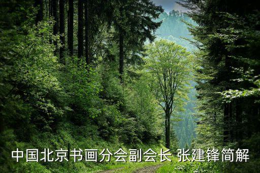 張建鋒,阿里云總裁張建鋒發(fā)布首臺云電腦