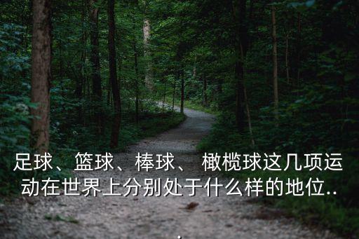 足球、籃球、棒球、 橄欖球這幾項運動在世界上分別處于什么樣的地位...