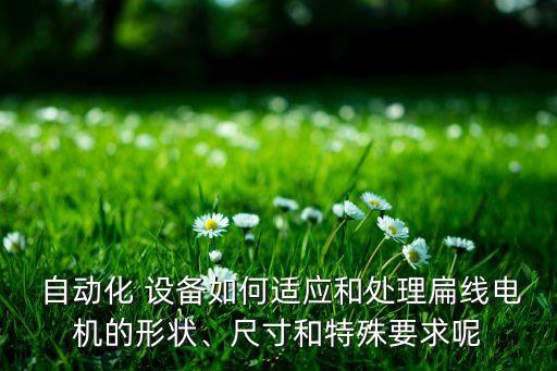  自動化 設備如何適應和處理扁線電機的形狀、尺寸和特殊要求呢