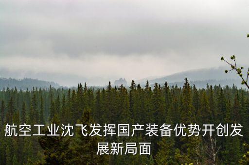 航空工業(yè)沈飛發(fā)揮國(guó)產(chǎn)裝備優(yōu)勢(shì)開(kāi)創(chuàng)發(fā)展新局面