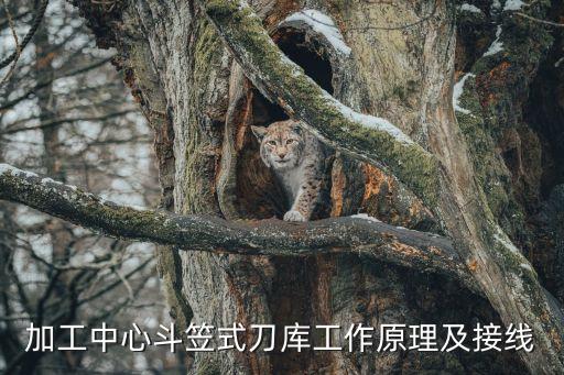 加工中心斗笠式刀庫(kù)工作原理及接線