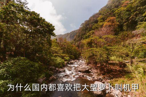 為什么國(guó)內(nèi)都喜歡把大型蘿卜叫機(jī)甲