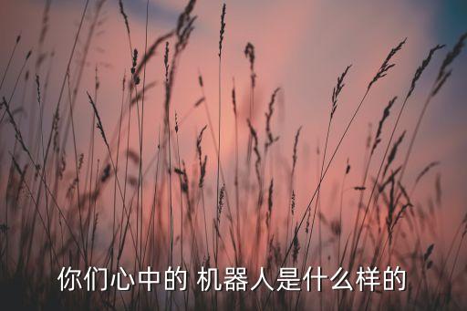 你們心中的 機(jī)器人是什么樣的