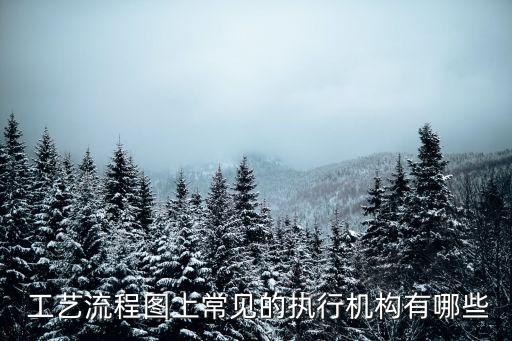  工藝流程圖上常見的執(zhí)行機(jī)構(gòu)有哪些