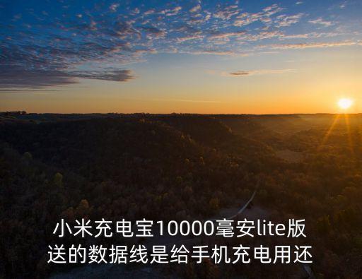 充電寶充電的數(shù)據(jù)線,共享充電寶有充電線嗎?一般都是串行線