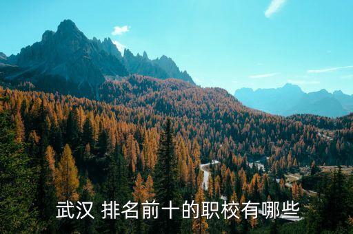  武漢 排名前十的職校有哪些