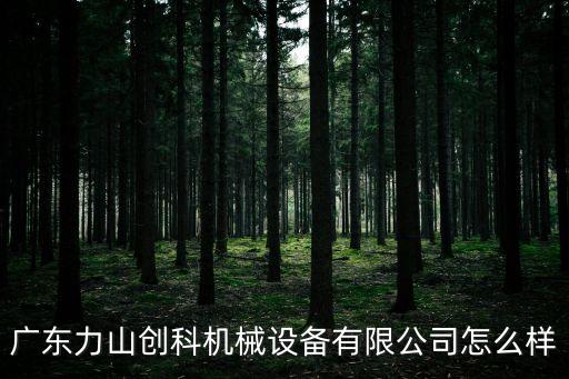 自動化設(shè)備液壓板廠家,滕州東城液壓廠家有限公司生產(chǎn)液壓機