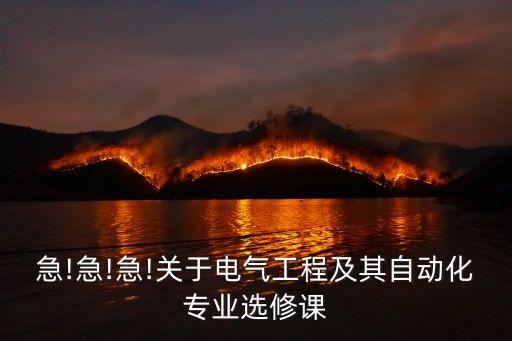 急!急!急!關(guān)于電氣工程及其自動化專業(yè)選修課