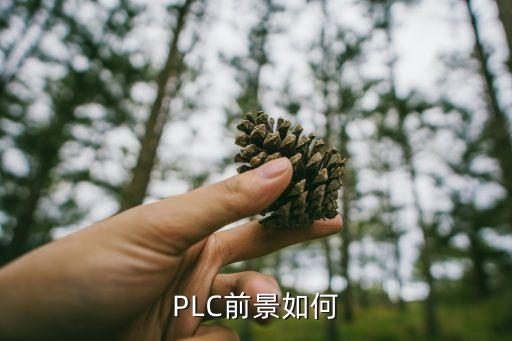 PLC前景如何