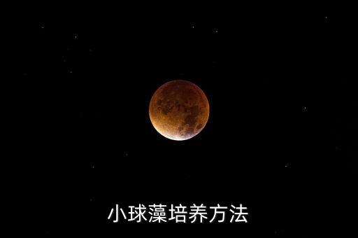 小球藻培養(yǎng)方法