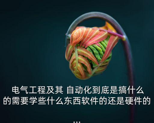  電氣工程及其 自動化到底是搞什么的需要學(xué)些什么東西軟件的還是硬件的...