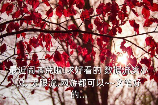 無限數(shù)據(jù)流,數(shù)據(jù)流小說