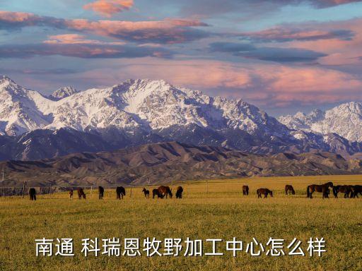 江蘇科瑞恩自動(dòng)化有限公司大連,科瑞恩自動(dòng)化設(shè)備有限公司招聘信息