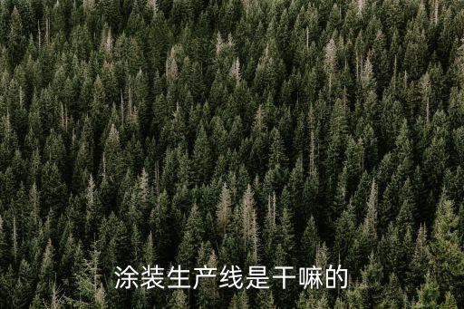 涂裝生產(chǎn)線是干嘛的