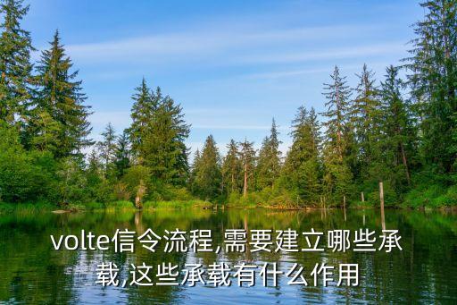 volte信令流程,需要建立哪些承載,這些承載有什么作用