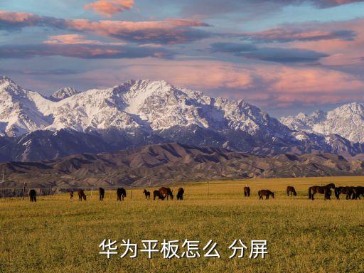  華為平板怎么 分屏