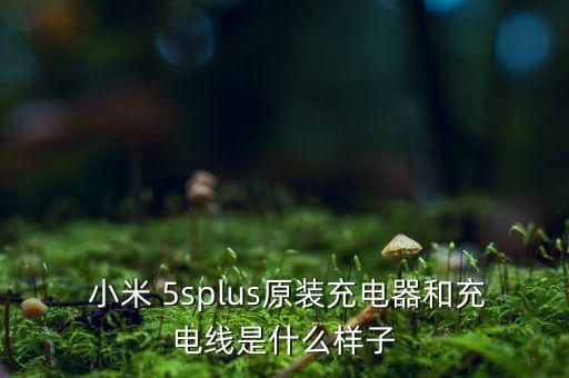 小米 5splus原裝充電器和充電線是什么樣子