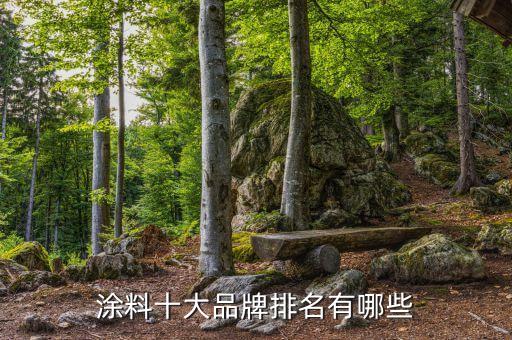 全自動化涂裝設(shè)備廠家排名,木門噴漆機(jī)廠家有哪些?