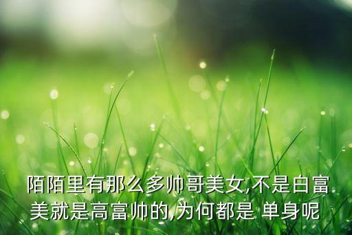 陌陌單身數(shù)據(jù),陌陌印記單身怎么設(shè)置