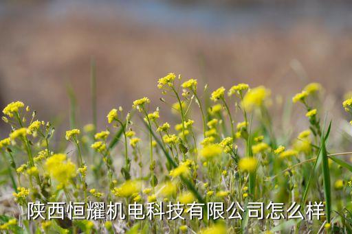 陜西恒耀機(jī)電科技有限公司怎么樣