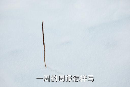 一周的周報(bào)怎樣寫(xiě)