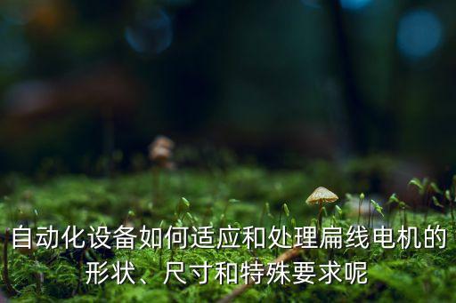 自動(dòng)化設(shè)備如何適應(yīng)和處理扁線電機(jī)的形狀、尺寸和特殊要求呢
