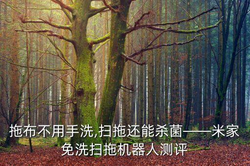 拖布不用手洗,掃拖還能殺菌——米家免洗掃拖機(jī)器人測評