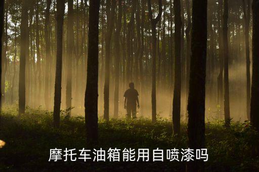 摩托車油箱能用自噴漆嗎