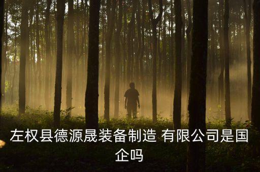 左權縣德源晟裝備制造 有限公司是國企嗎
