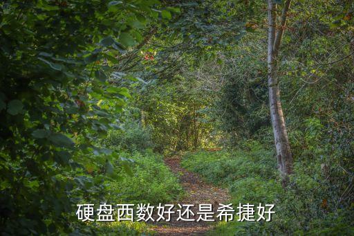硬盤西數(shù)好還是希捷好