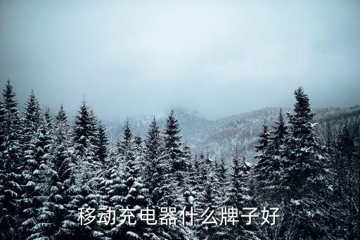 移動充電器什么牌子好