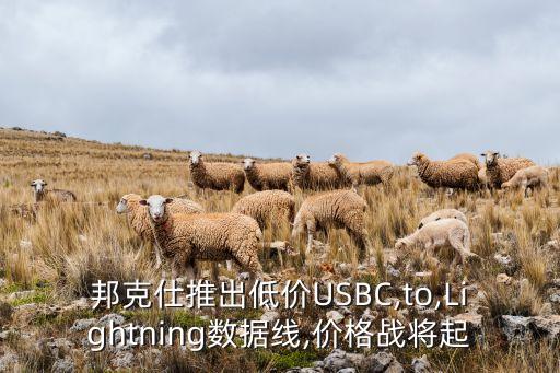邦克仕推出低價(jià)USBC,to,Lightning數(shù)據(jù)線,價(jià)格戰(zhàn)將起