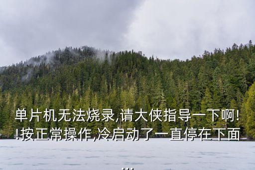 單片機(jī)無法燒錄,請大俠指導(dǎo)一下啊!!按正常操作,冷啟動(dòng)了一直停在下面...