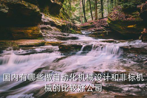 國(guó)內(nèi)有哪些做自動(dòng)化機(jī)械設(shè)計(jì)和非標(biāo)機(jī)械的比較好公司